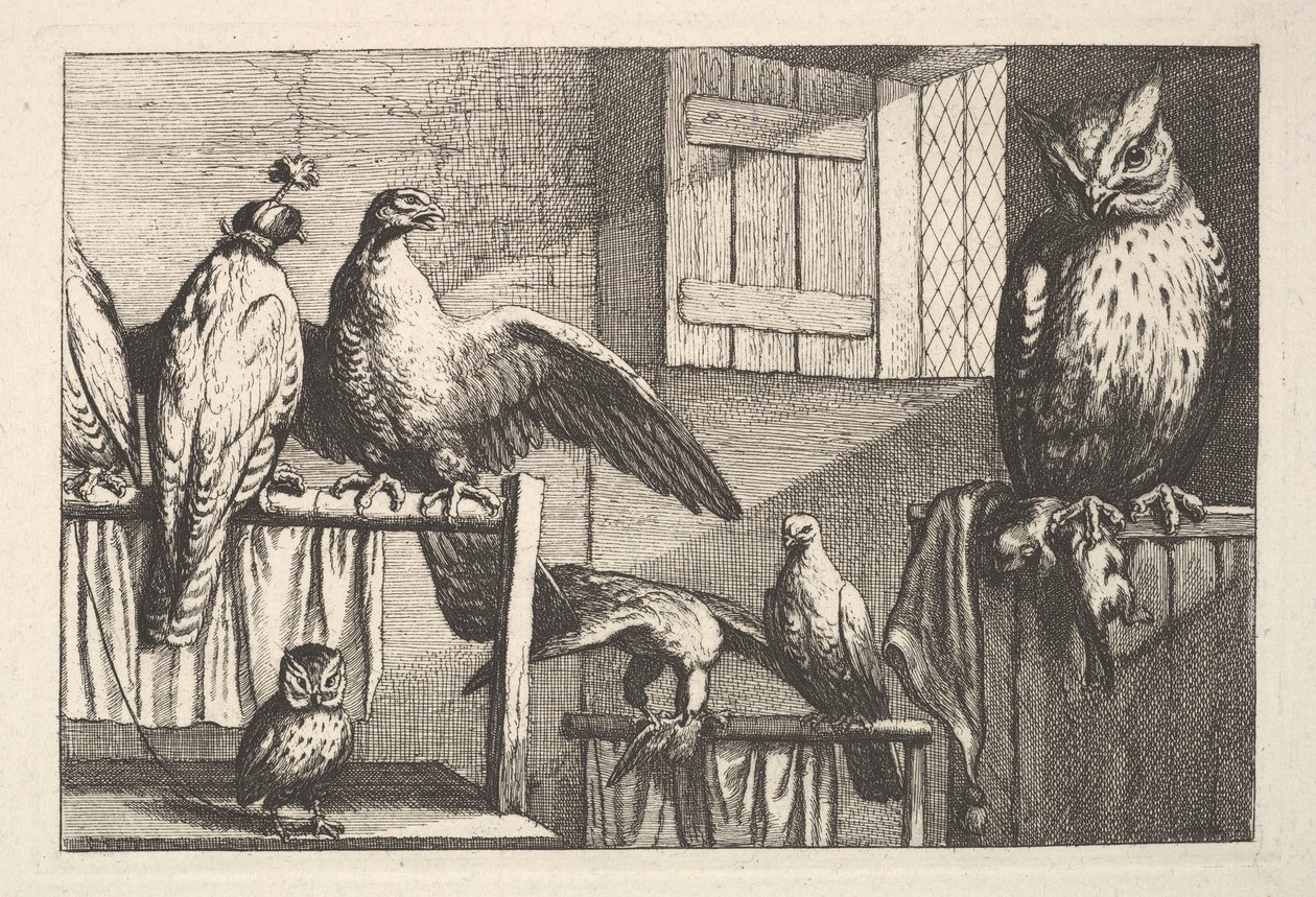 Høker og ugler, 1625-77. av Wenceslaus Hollar