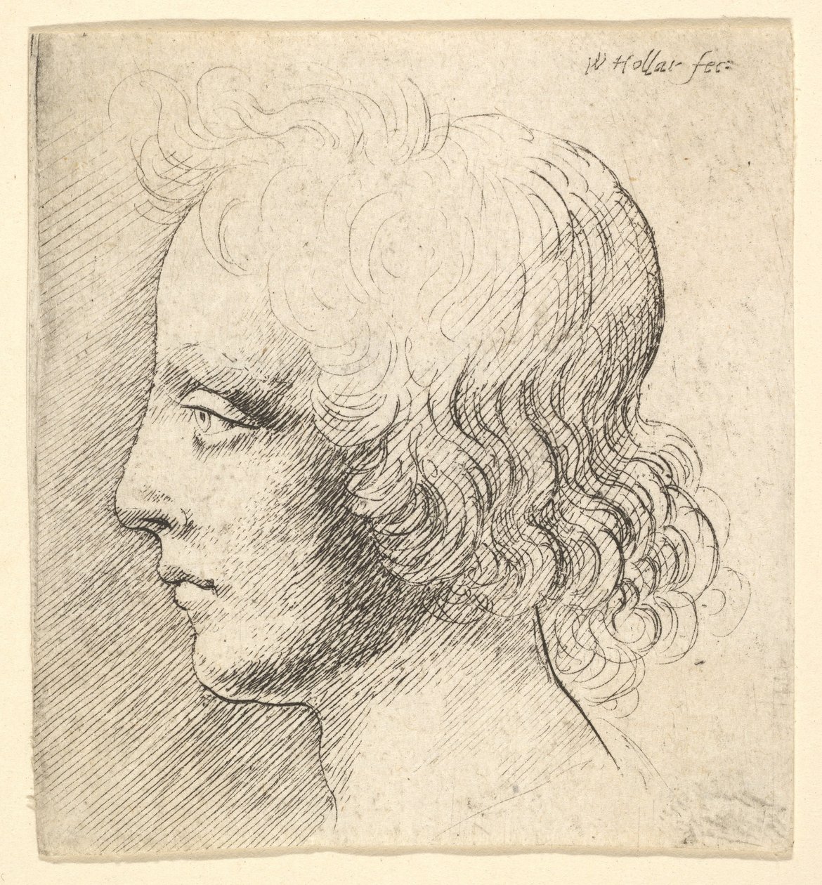 Hode av en ung mann av Wenceslaus Hollar