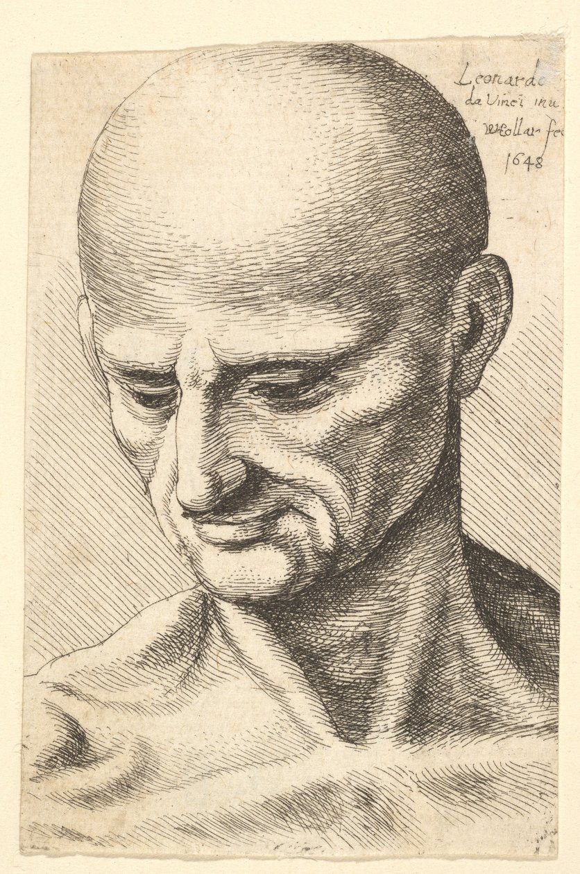 Hodet til en skallet, senet mann som ser nedover, 1648. av Wenceslaus Hollar