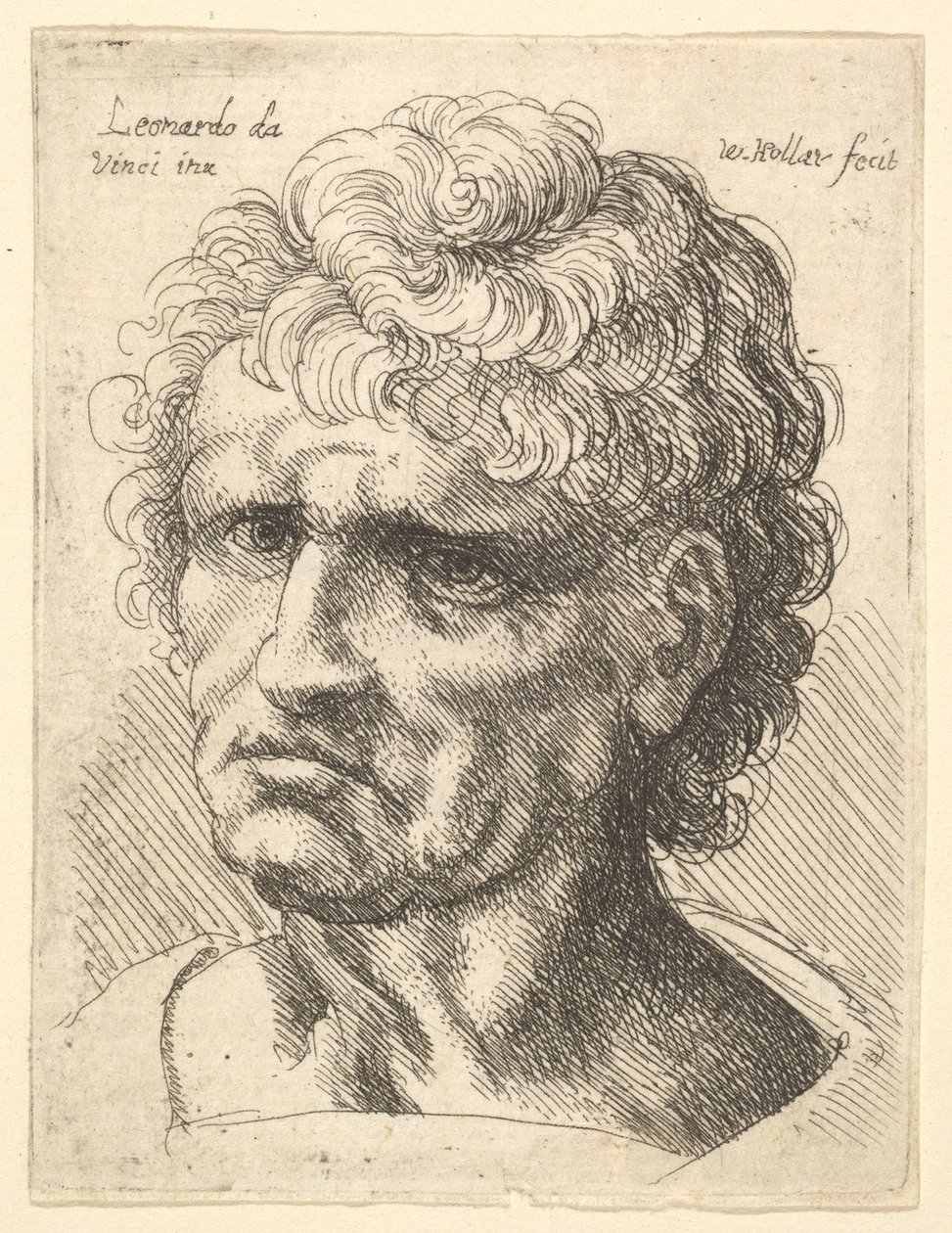 Hodet til en mann med alvorlig uttrykk, 1625-77. av Wenceslaus Hollar