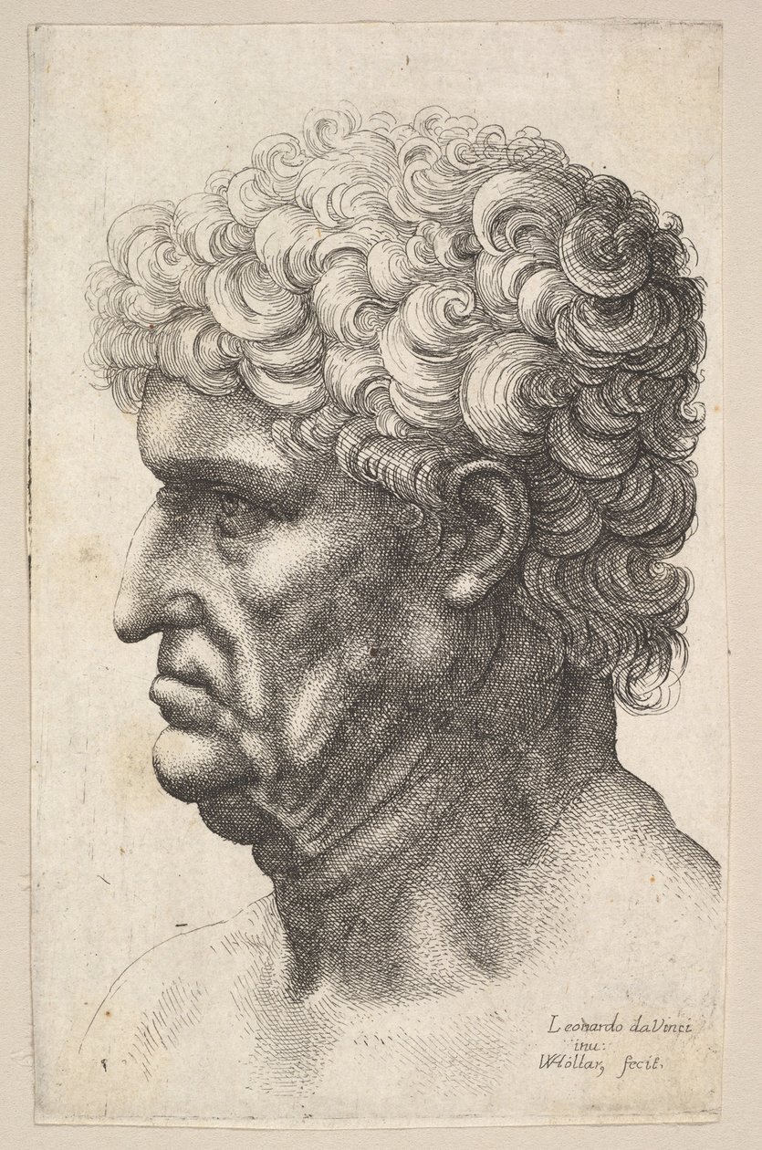 Hodet til en mann med tykt krøllete hår i profil til venstre, 1640-49. av Wenceslaus Hollar