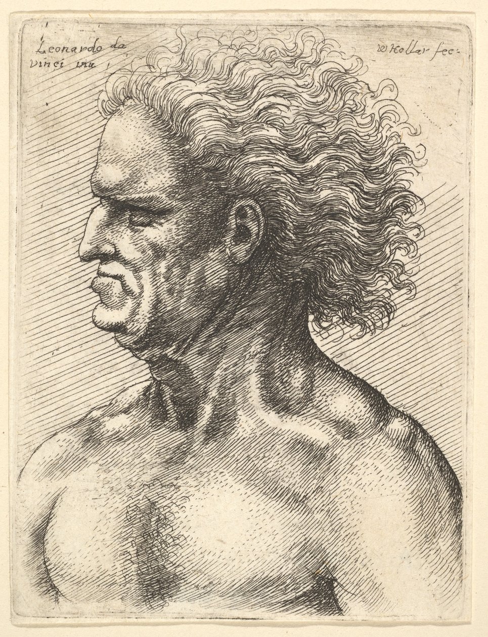 Hodet til en muskuløs gammel mann i profil til venstre med flytende hår, 1625-77. av Wenceslaus Hollar