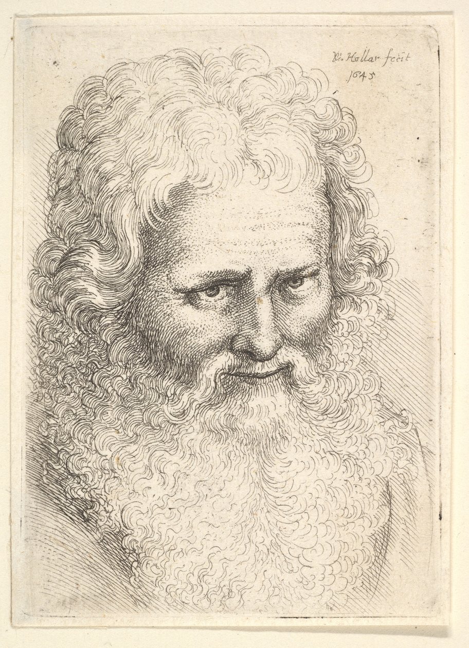 Hode av en gammel mann med stort skjegg av Wenceslaus Hollar