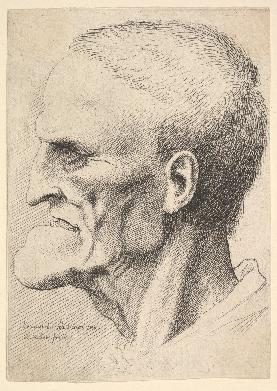 Hodet til en gammel mann med en uttalt hake, kort beskåret hår og gapende munn som viser ..., 1625-77. av Wenceslaus Hollar
