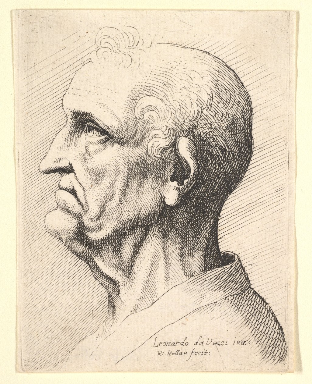 Hodet til en gammel mann med krøllete hårtotter rundt øret i profil til venstre, 1644-52. av Wenceslaus Hollar