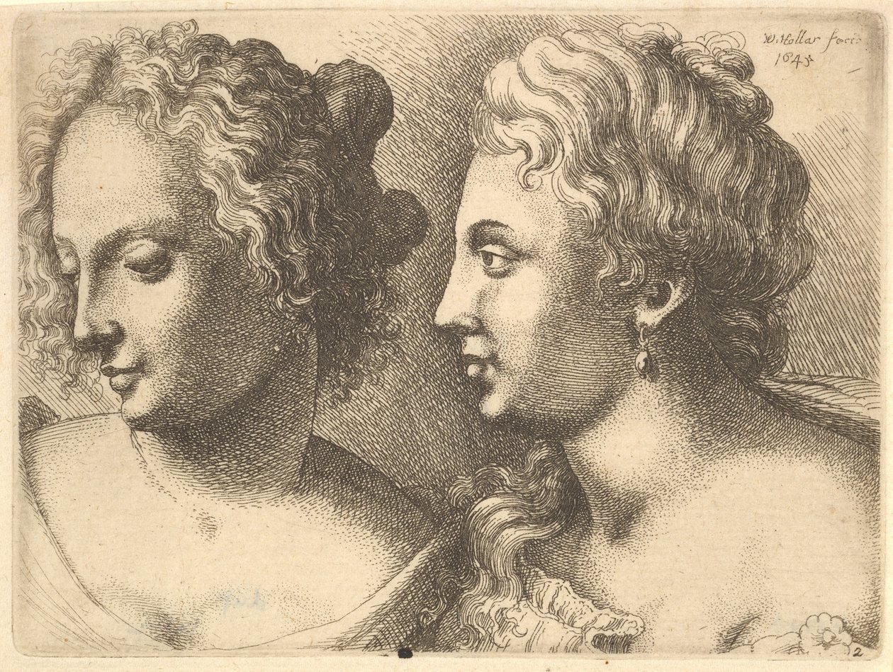 Hoder til to unge kvinner, 1645. av Wenceslaus Hollar