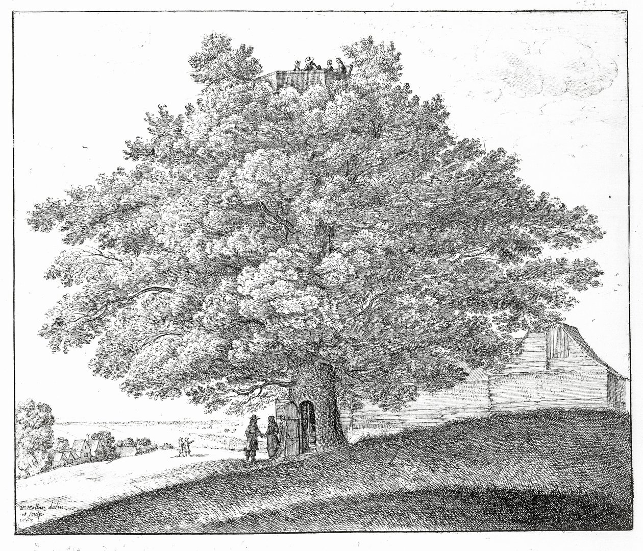 Hollow Tree i Hampstead, 1663 av Wenceslaus Hollar