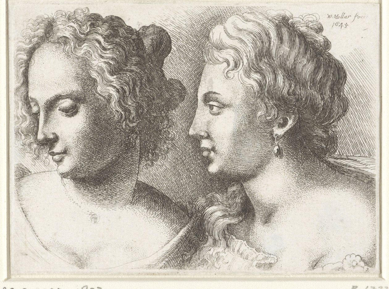 Hoder til to unge kvinner Varie figurae et probae (serietittel) Karikaturer, hoder og misdannelser etter Leonardo da Vinci (serietittel) av Wenceslaus Hollar