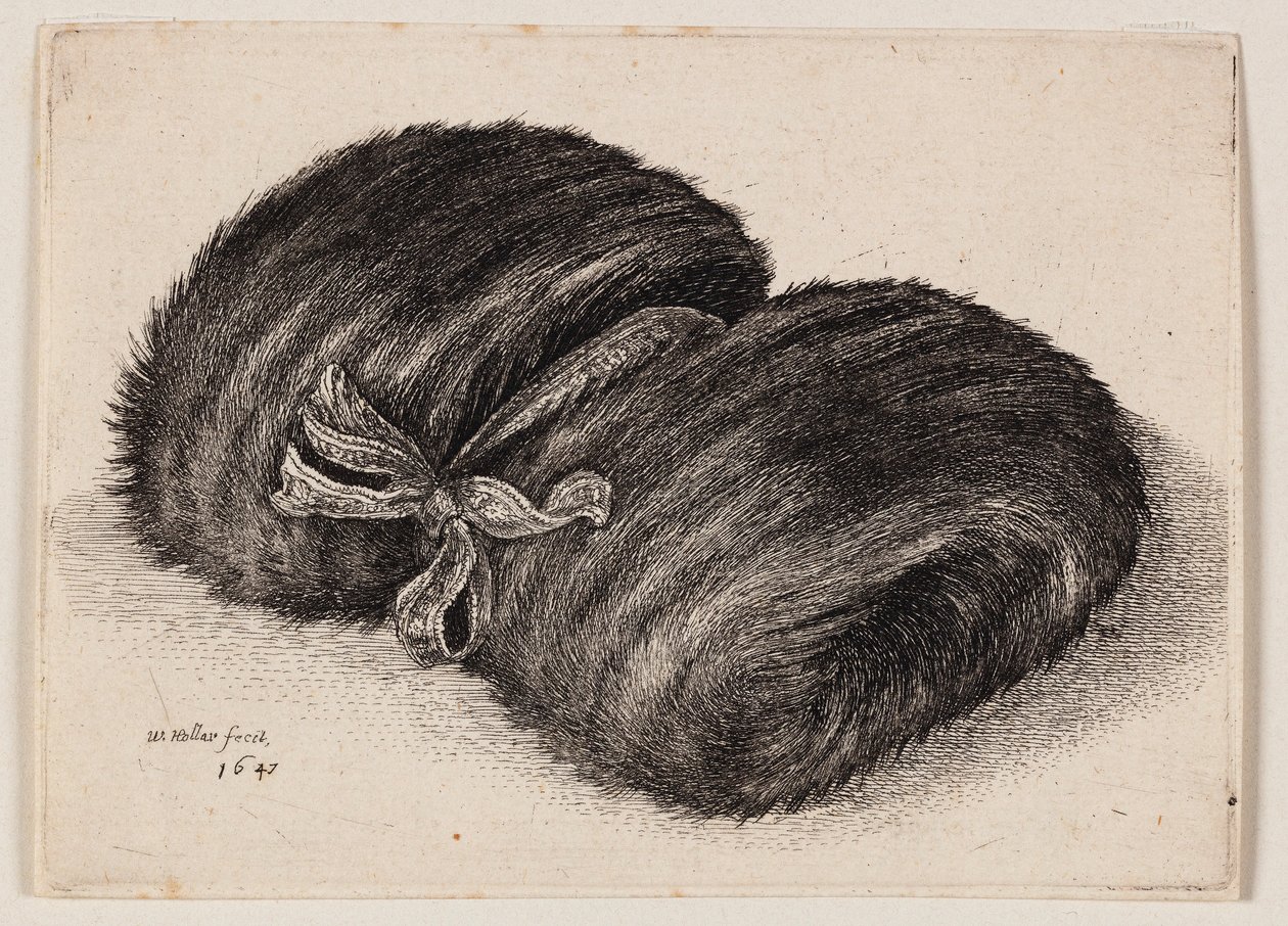 Mørk pelsmansjett med et sløyfebånd av Wenceslaus Hollar