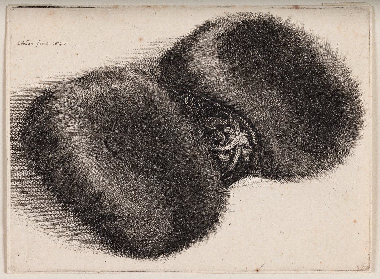 Pelsmuffe med et brokadekledd bånd av Wenceslaus Hollar