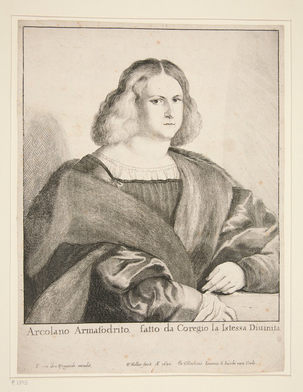 Portrett av en mann (Arcolano Armafodrito) av Wenceslaus Hollar