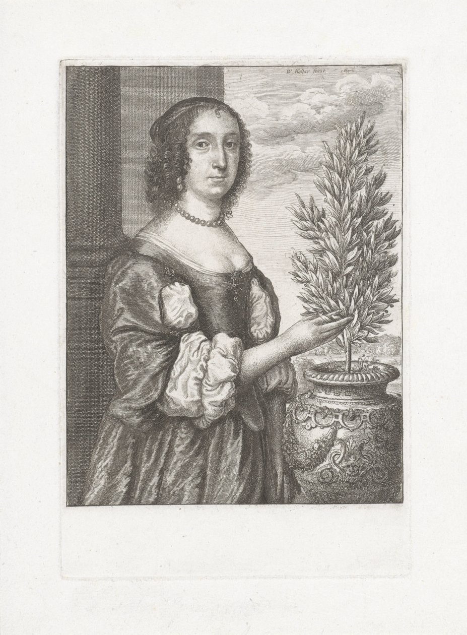 Portrett av en kvinne som står ved siden av en laurbærplante av Wenceslaus Hollar