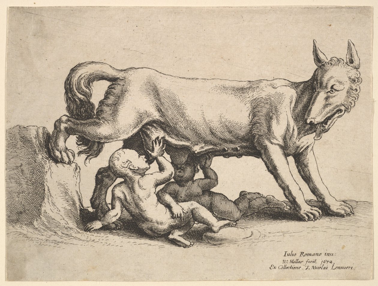 Romulus og Remus, 1652. av Wenceslaus Hollar