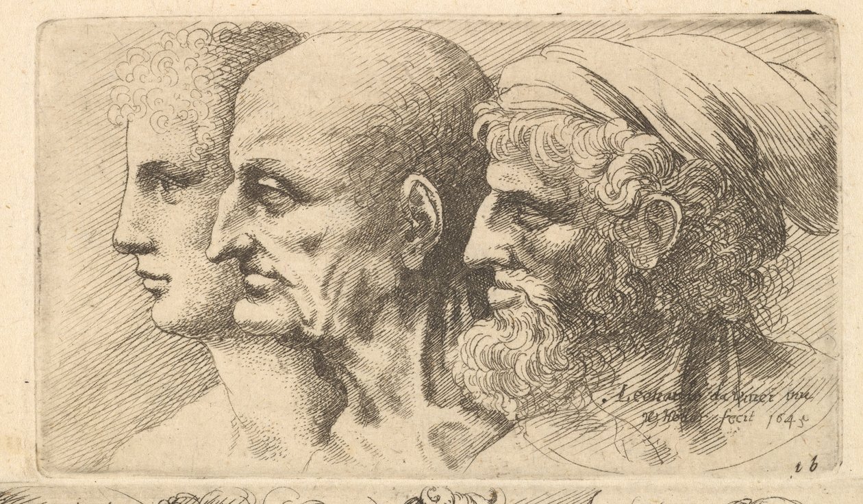 Rad med tre hoder i profil til venstre, 1645. av Wenceslaus Hollar