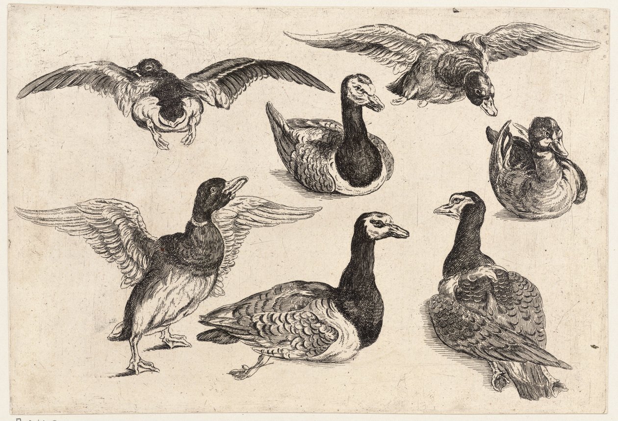 Sju ender av Wenceslaus Hollar