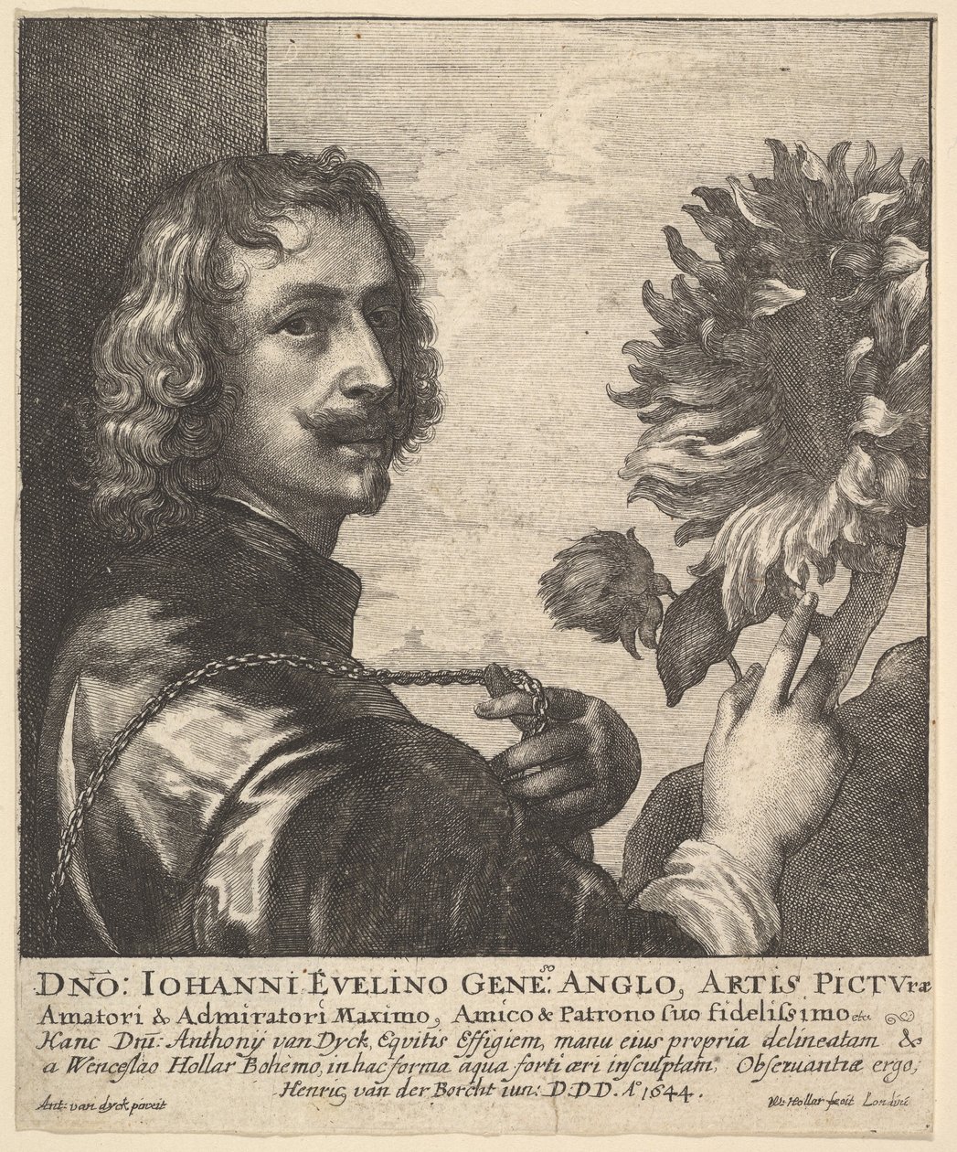 Sir Anthony van Dyck med en solsikke, 1644. av Wenceslaus Hollar