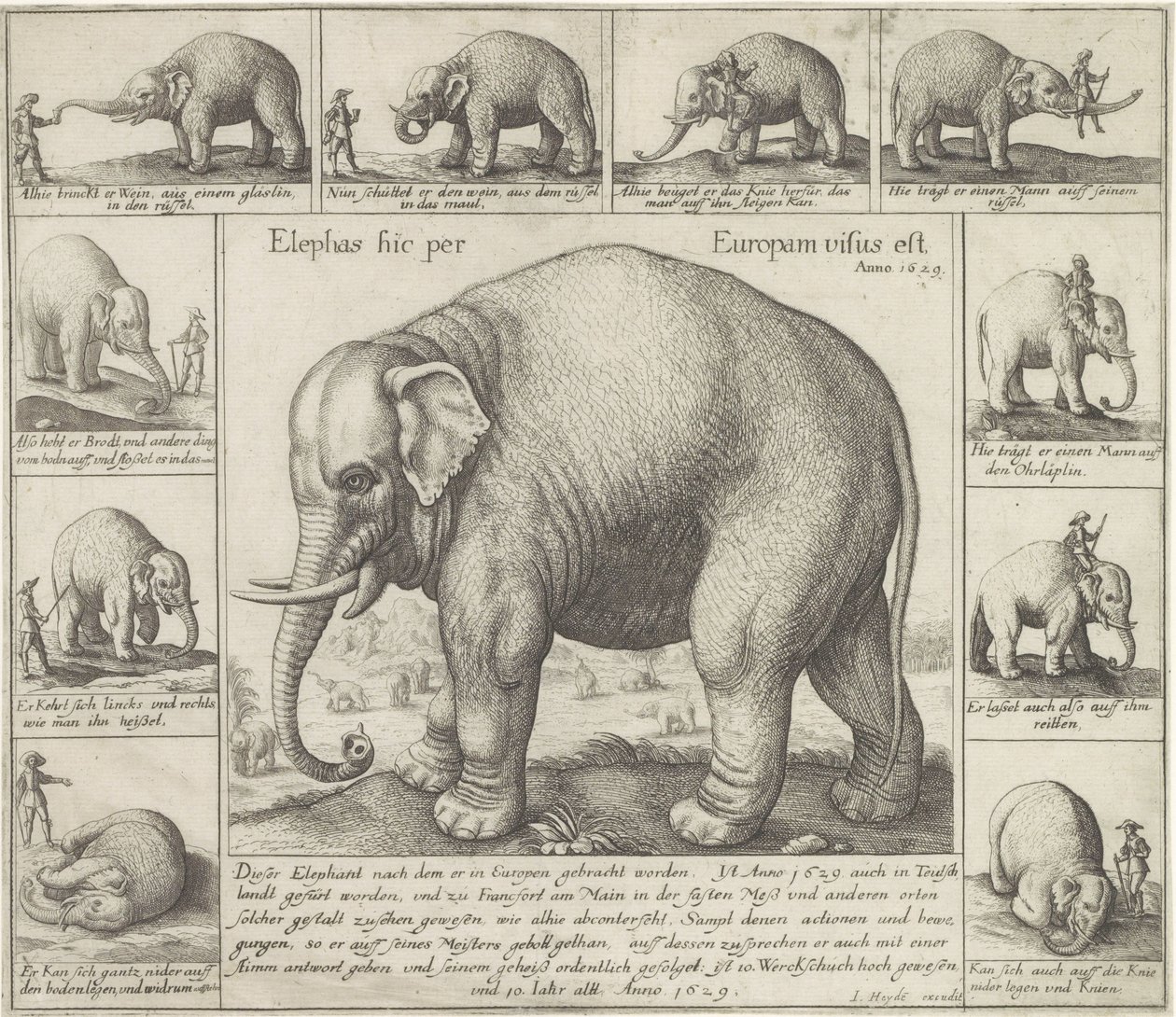 De lukter også En elefant ble sett her i Europa (tittel på objekt) av Wenceslaus Hollar