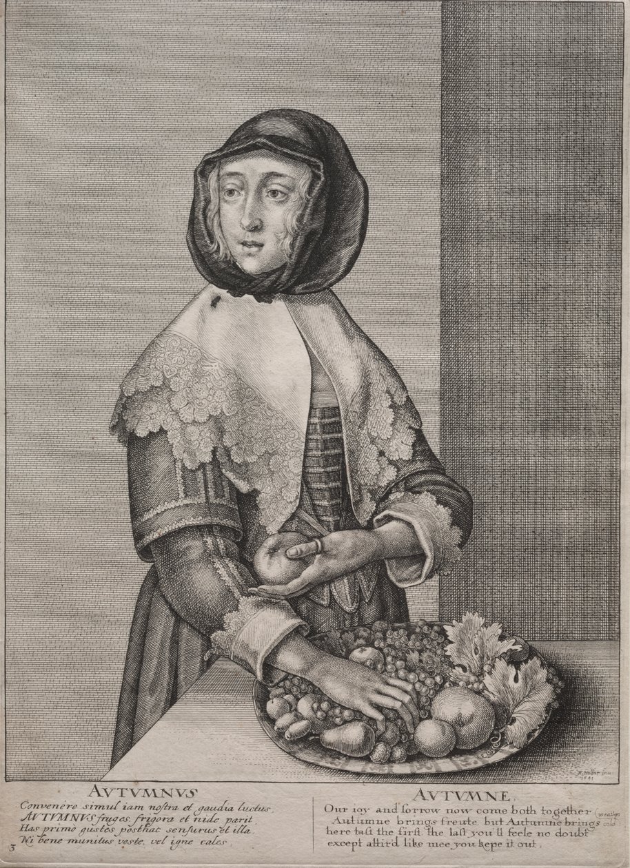De fire årstidene: Høst av Wenceslaus Hollar