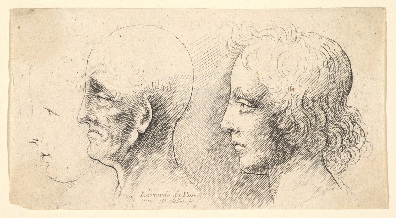 Tre profilhoder, kun ett i omriss, 1625-77. av Wenceslaus Hollar