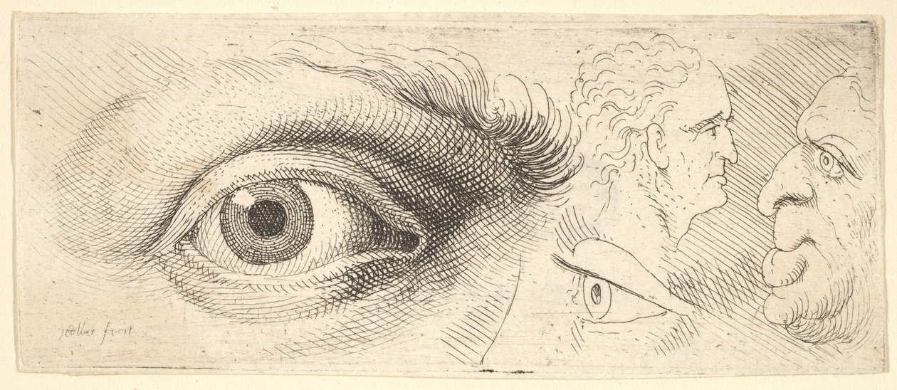 To øyne og to hoder, 1644-52. av Wenceslaus Hollar