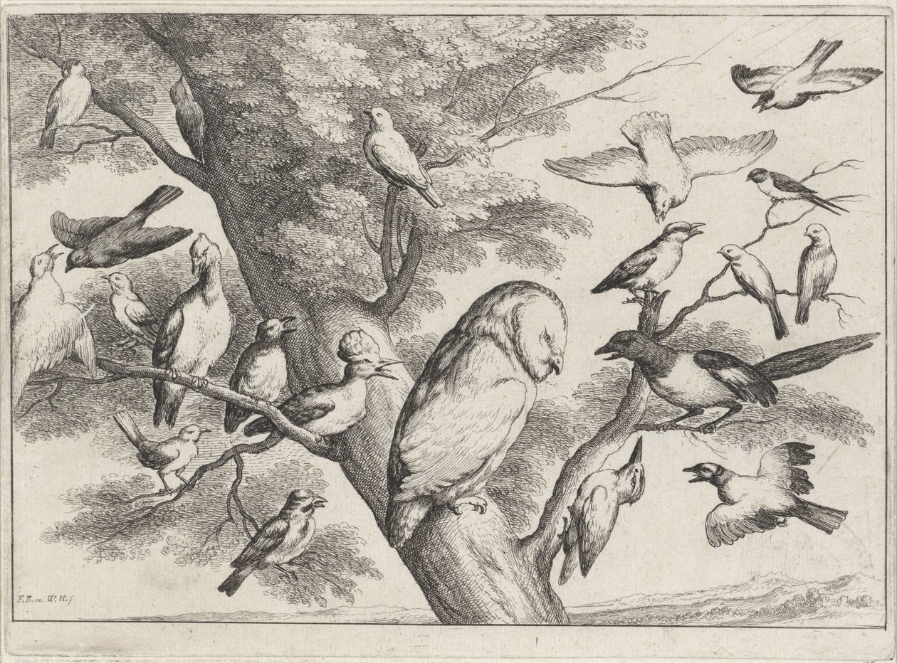 Fugler i et tre Forskjellige fugler (serietittel) av Wenceslaus Hollar