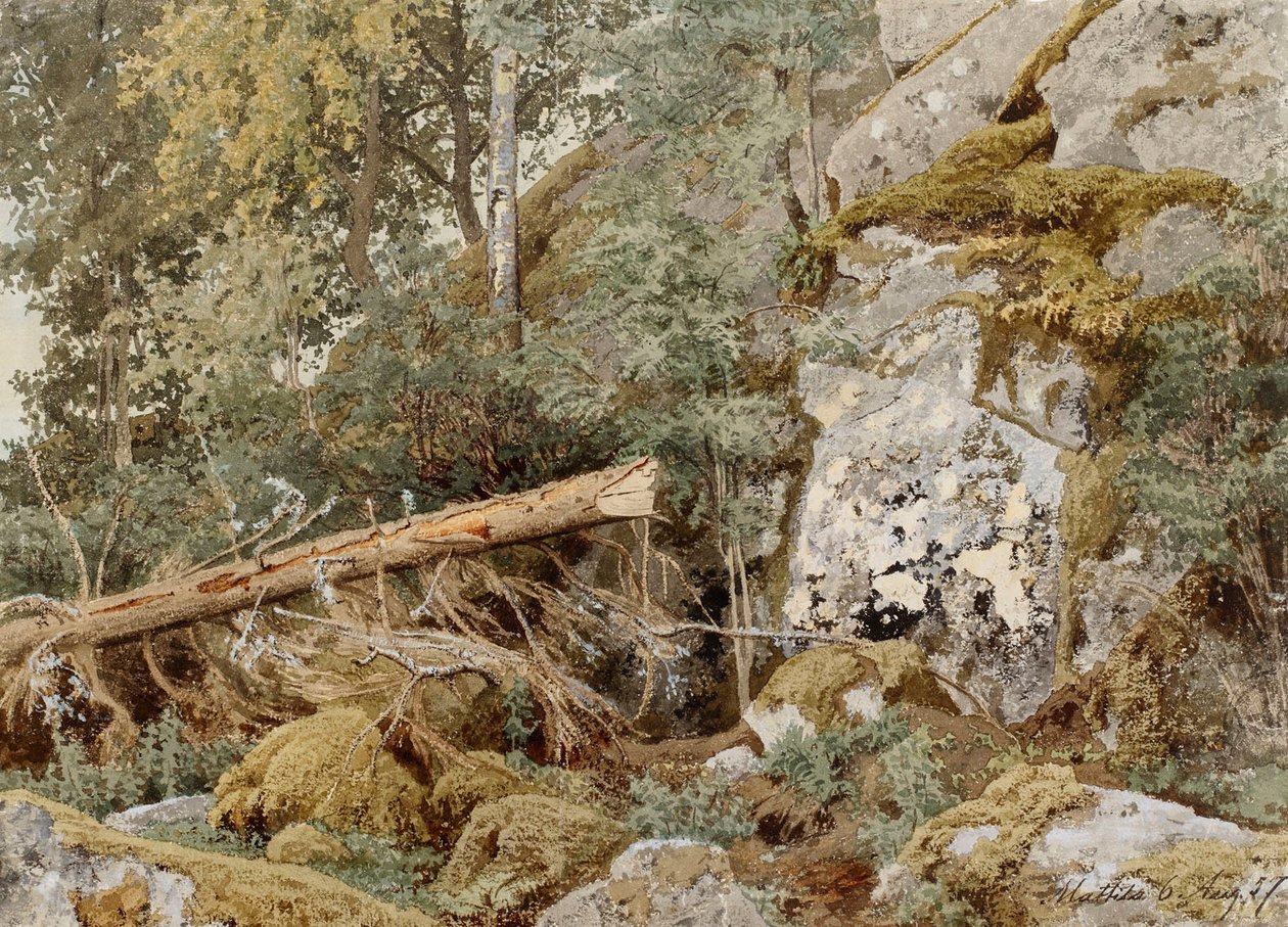  av Werner Holmberg