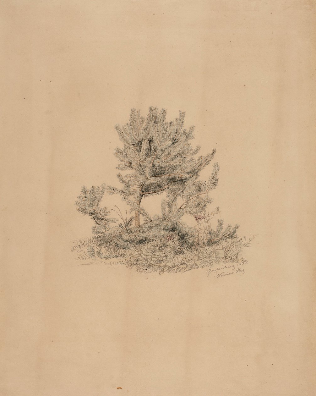 Uten tittel av Werner Holmberg