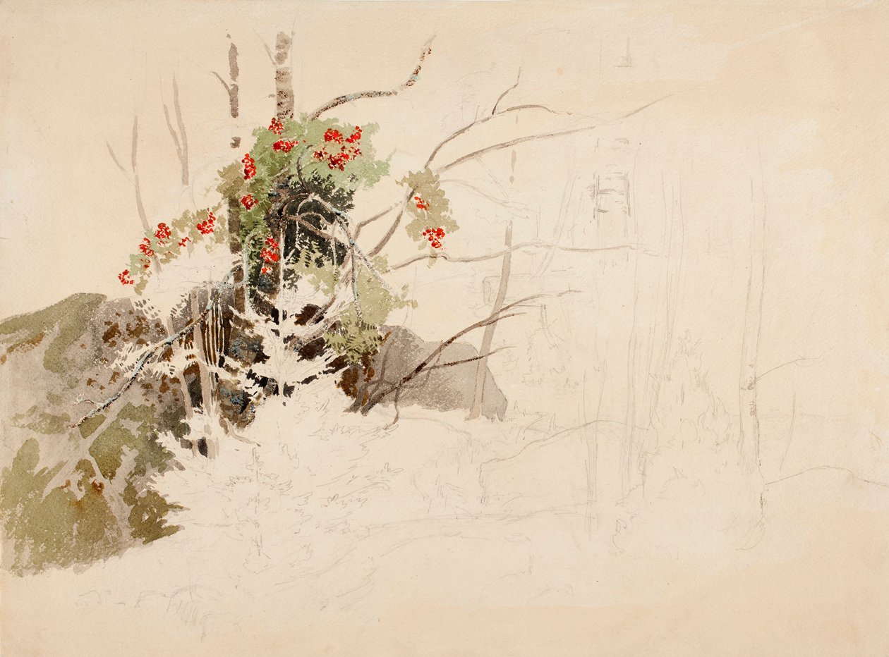 Uten tittel av Werner Holmberg