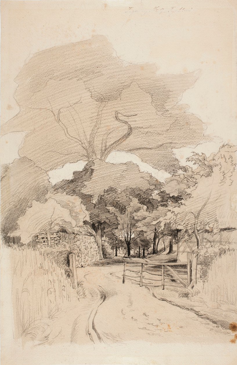 Uten tittel av Werner Holmberg