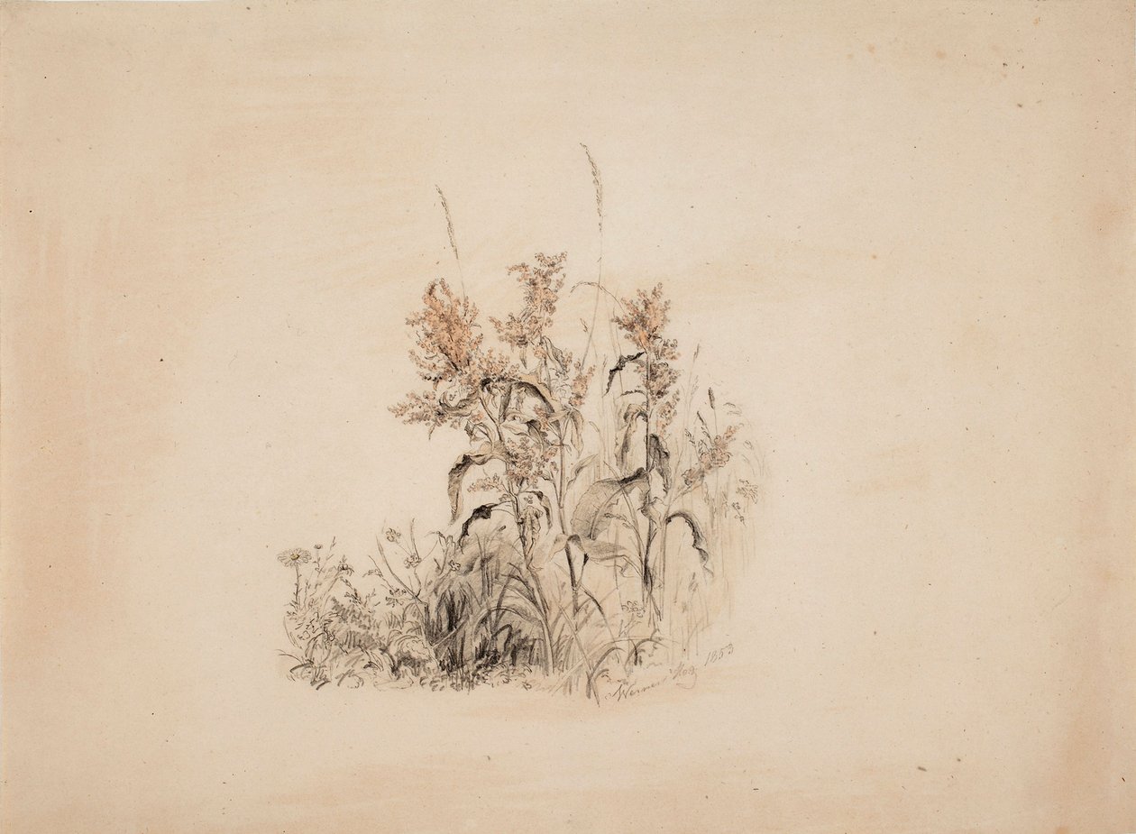 Uten tittel av Werner Holmberg