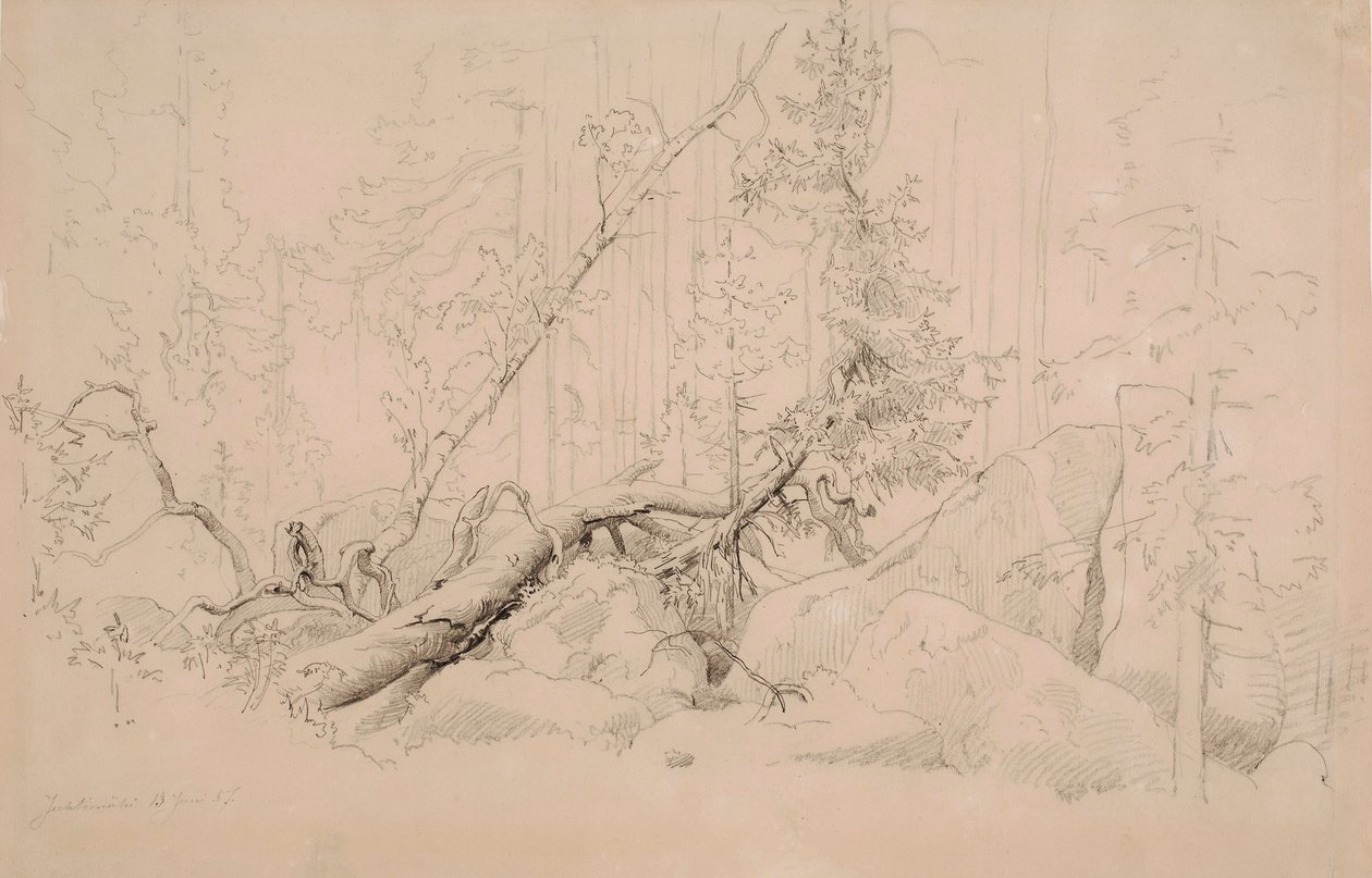 Uten tittel av Werner Holmberg