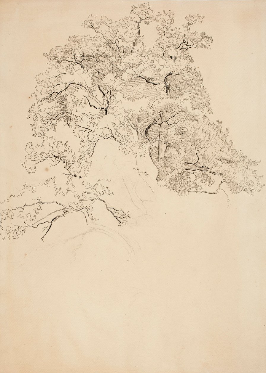 Uten tittel av Werner Holmberg