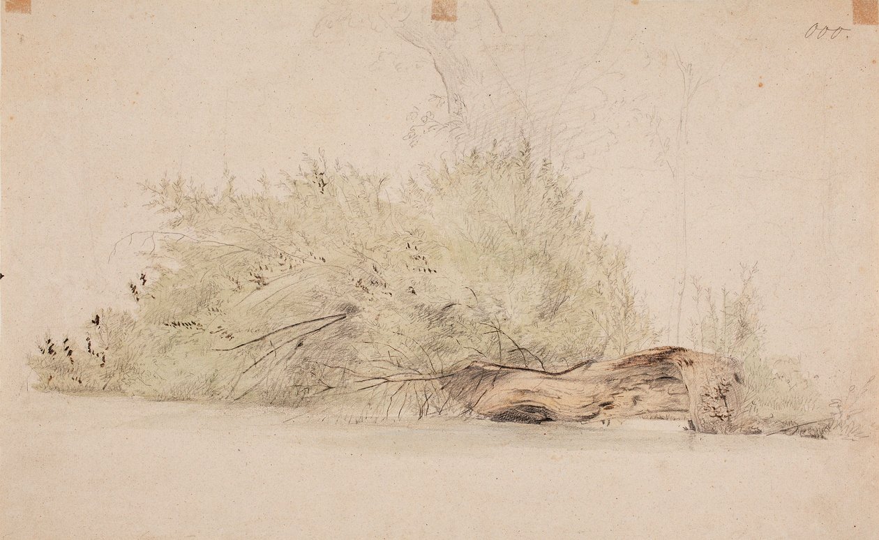 Uten tittel av Werner Holmberg