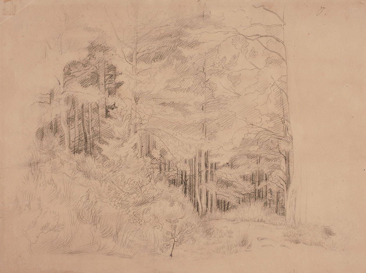 Uten tittel av Werner Holmberg