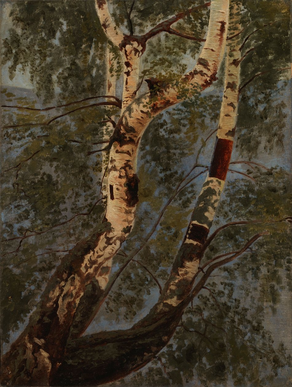 Uten tittel av Werner Holmberg