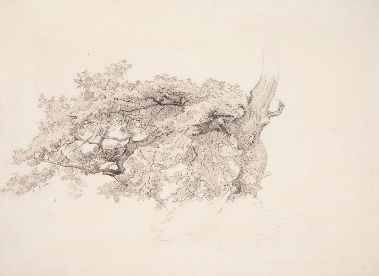Uten tittel av Werner Holmberg