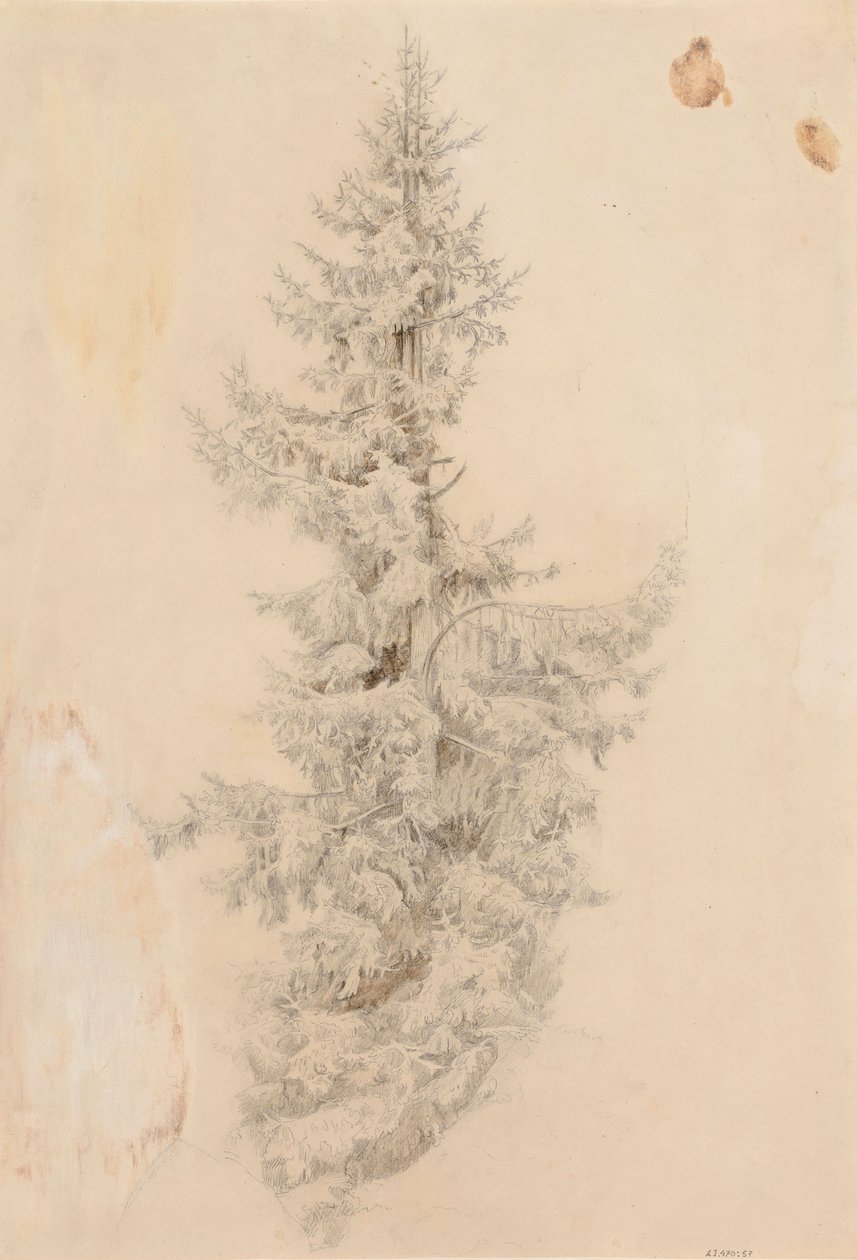 Uten tittel av Werner Holmberg