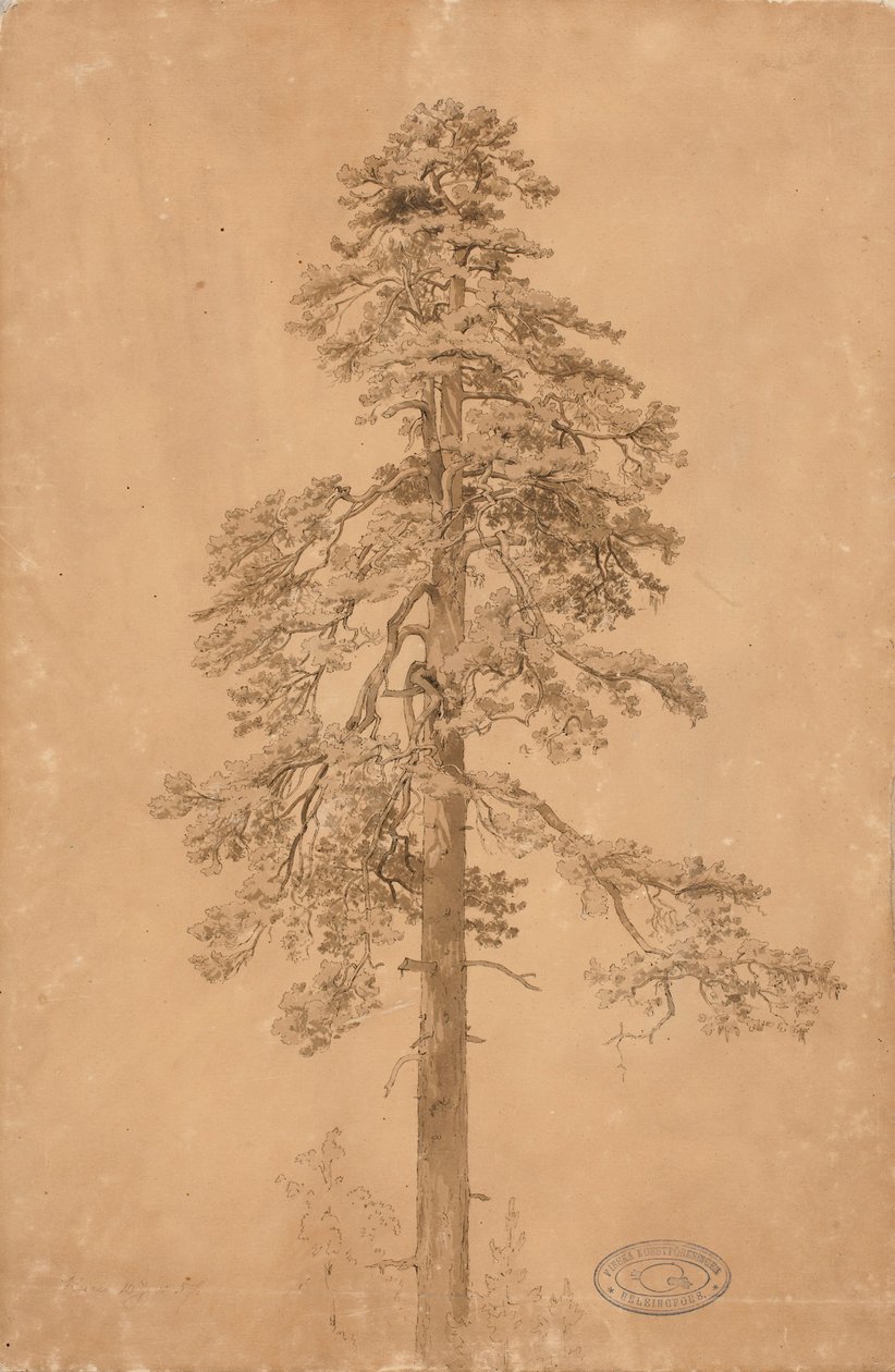 Uten tittel av Werner Holmberg