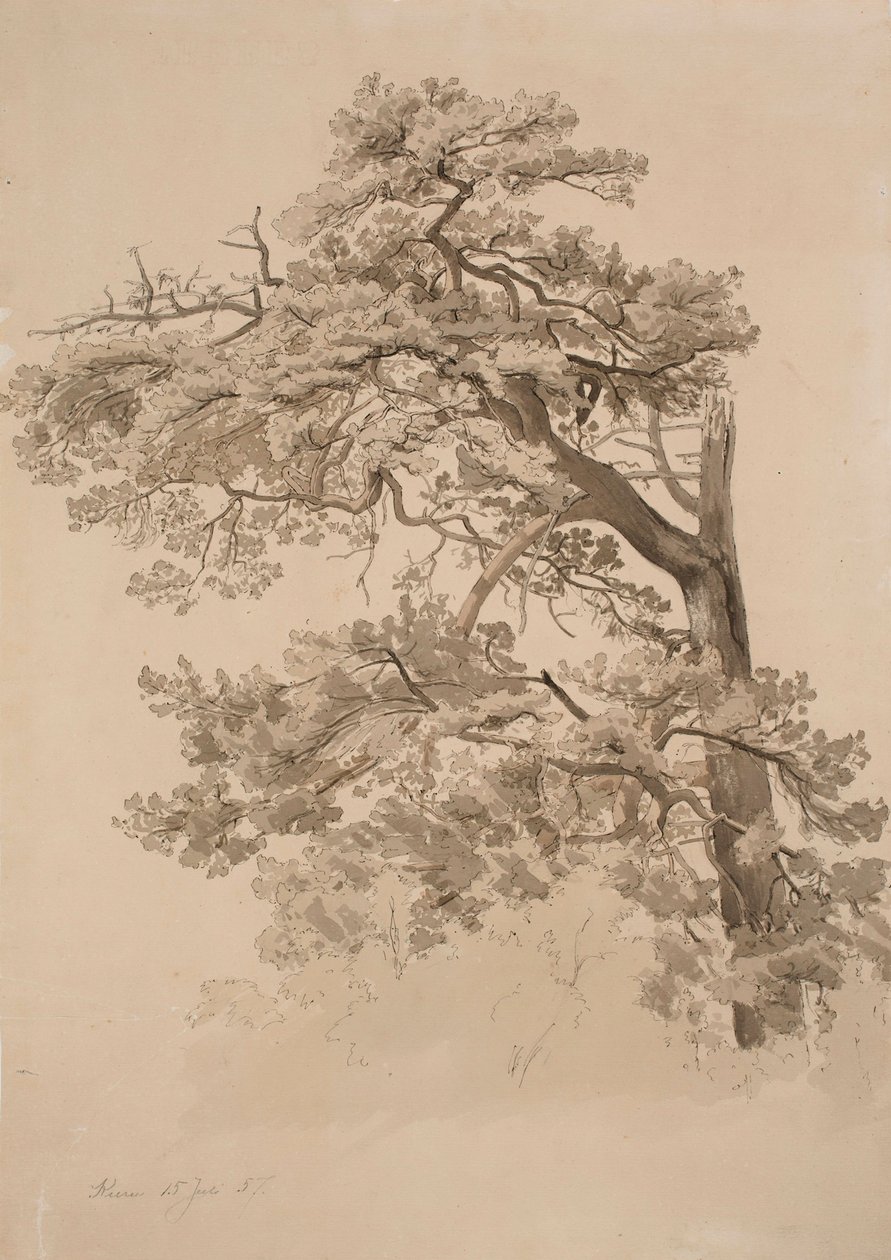 Uten tittel av Werner Holmberg