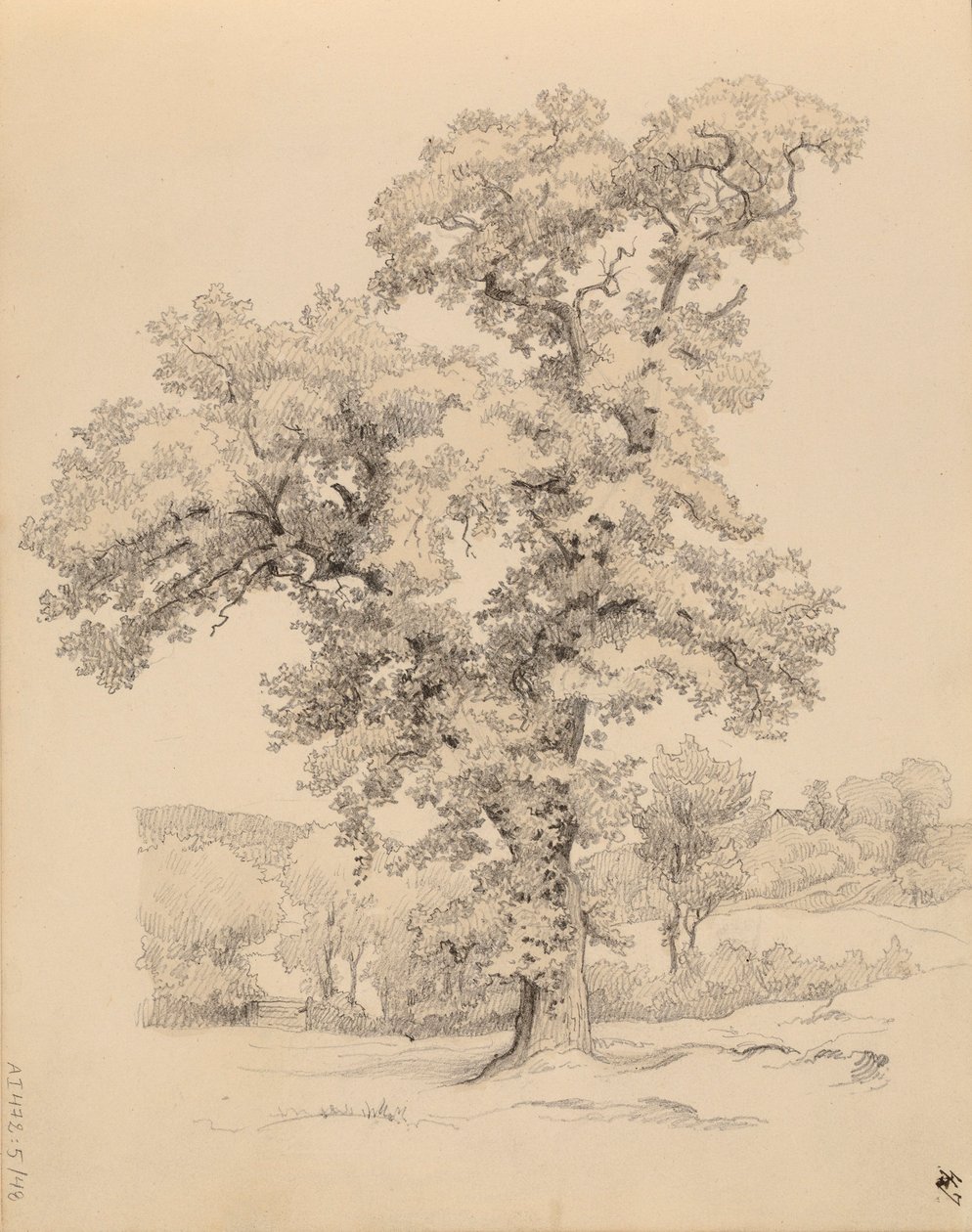 Uten tittel av Werner Holmberg
