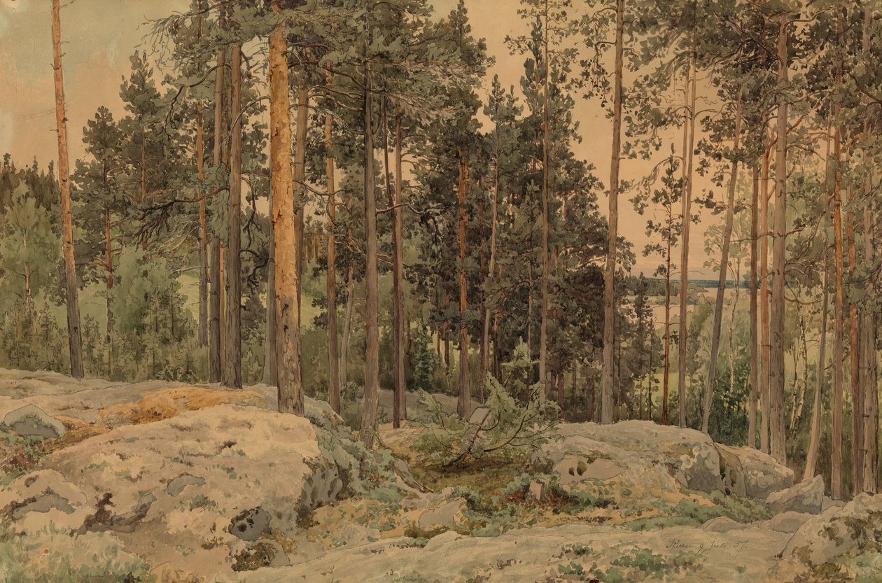 Uten tittel av Werner Holmberg