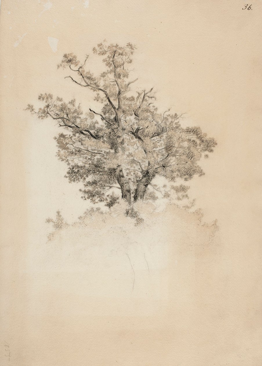 Uten tittel av Werner Holmberg