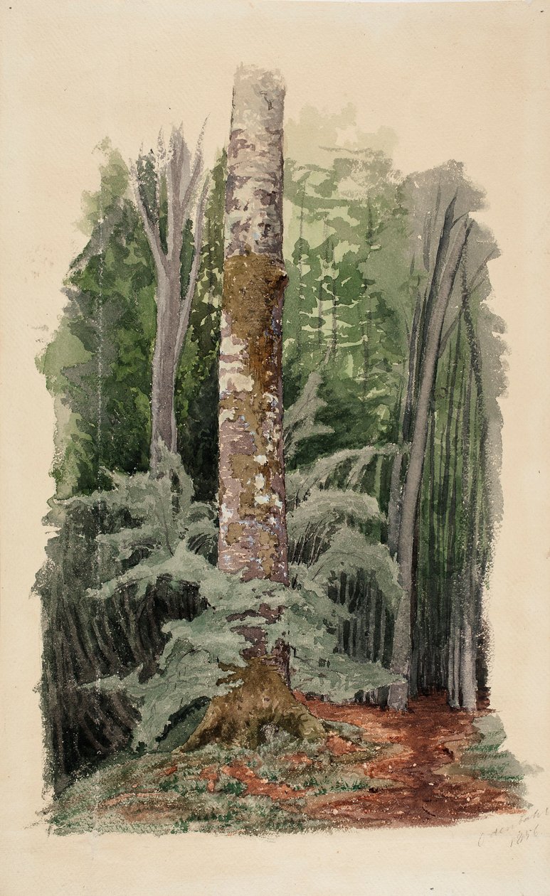 Uten tittel av Werner Holmberg