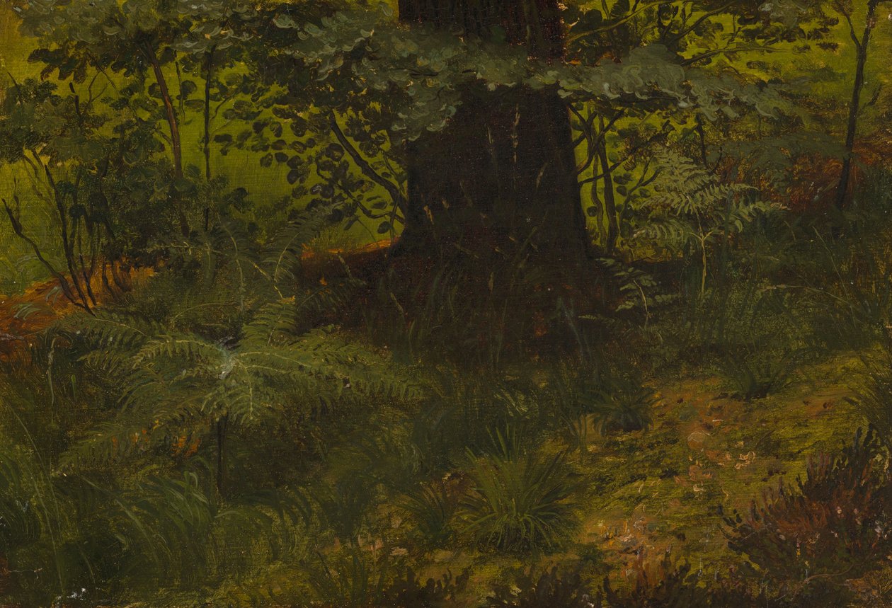 Uten tittel av Werner Holmberg