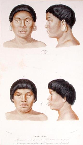 Antropometrisk studie av to Botocudos-indianere, gravert av Fournier, midten av 1800-tallet (farge litho) av Werner Werner