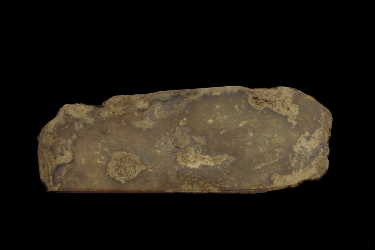 Fragment av et seremonielt våpen (jade (nefritt)) av Western Zhou Dynasty Chinese School