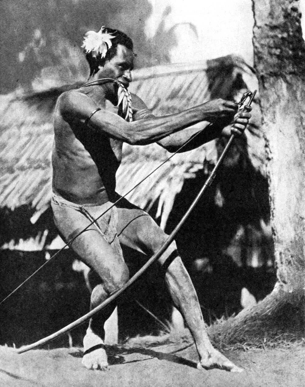 En jeger som strenger buen, 1936. av Wide World Photos