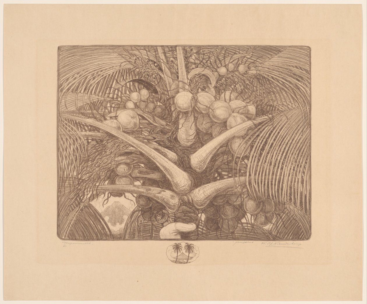 Toppen av en kokospalme Tropenweelde (originaltittel på objektet) av Wijnand Otto Jan Nieuwenkamp (signed by artist)