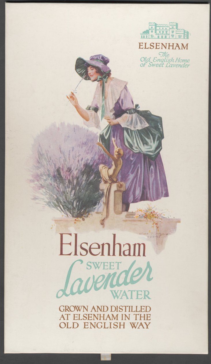 Elsenham Lavender, 1920-tallet av Wilfred Fryer