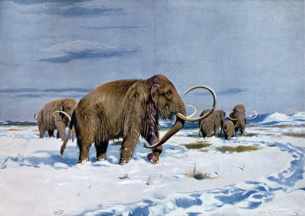 Tropp av mammuter i istiden av Wilhelm Kuhnert